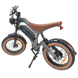 M20 E-bike