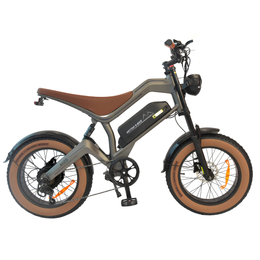 M20 E-bike