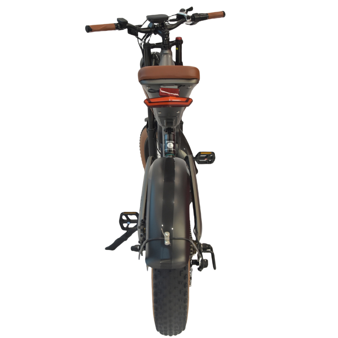 M20 E-bike