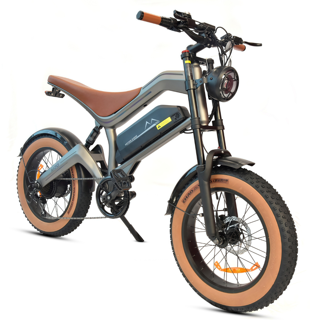 M20 E-bike