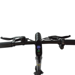 BX E-bike