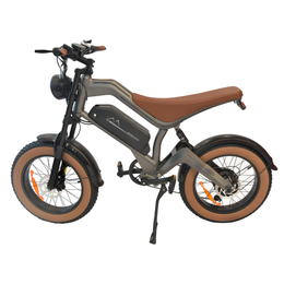 M20 E-bike