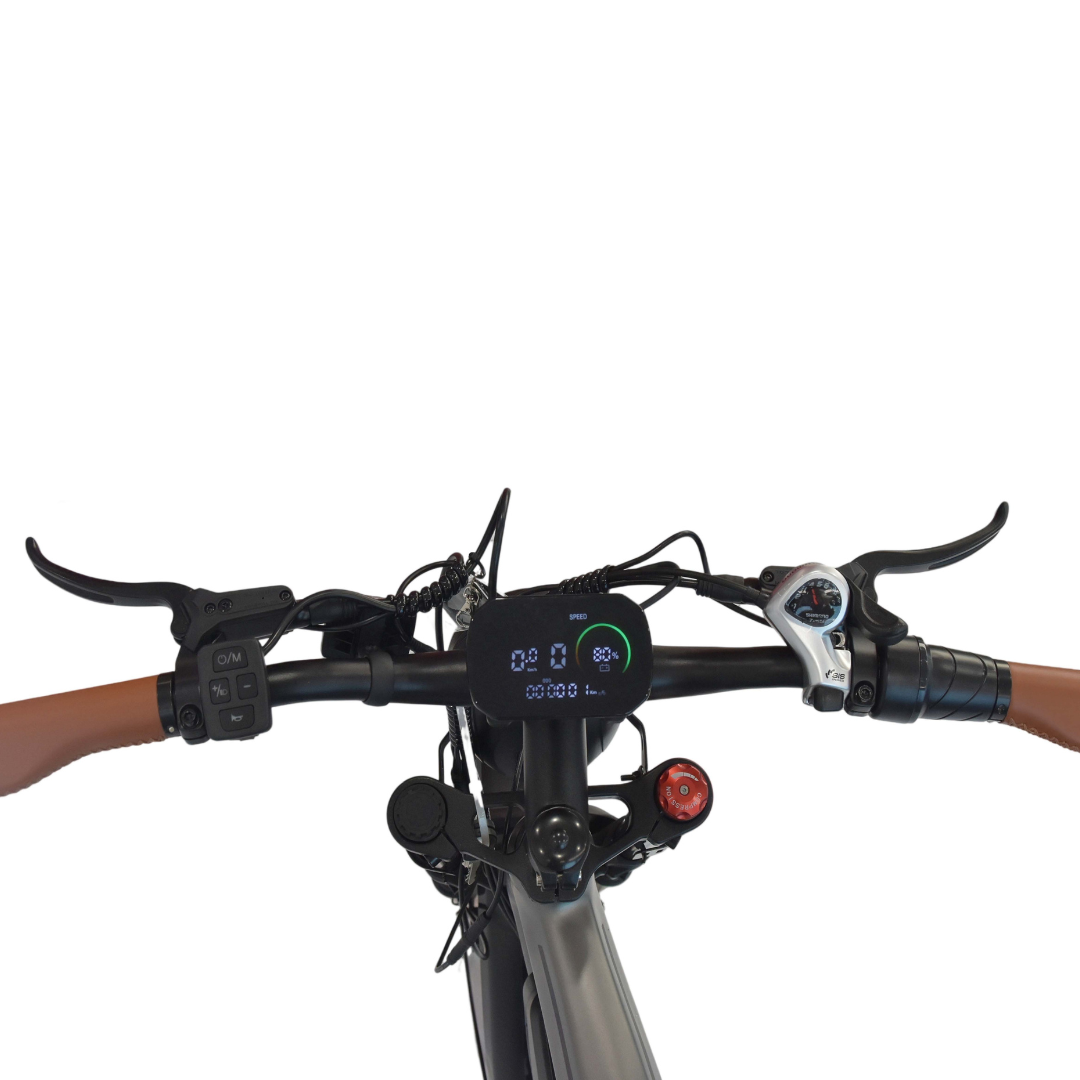 M20 E-bike