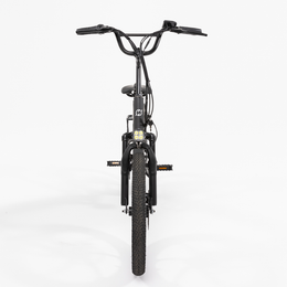 R.X E-bike