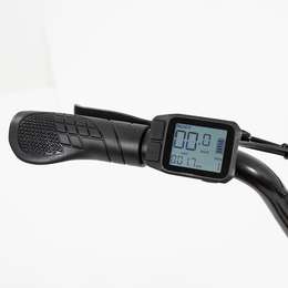 R.X E-bike