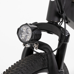 R.X E-bike