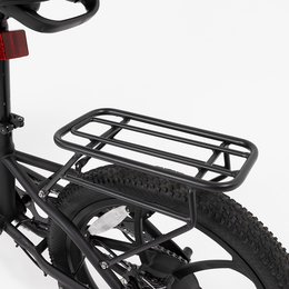 R.X E-bike