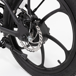 R.X E-bike