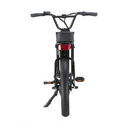 SWFT Zip - 500W Class-2 All-Terrain E-bike with Pedal Assist