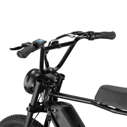 Z.X E-bike