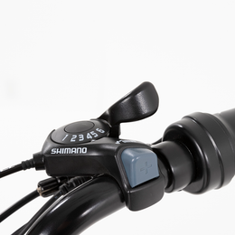 V.X E-bike